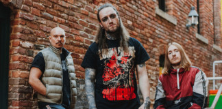 Ingested