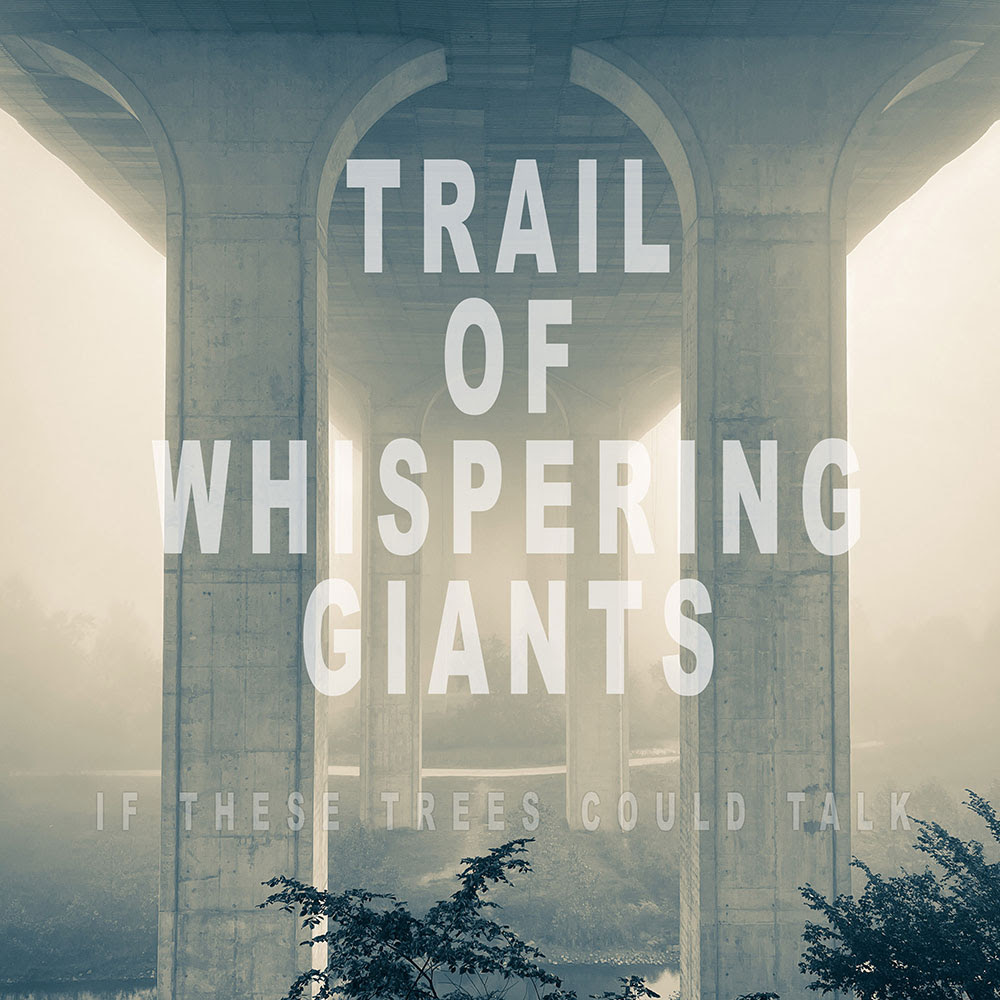 if these trees could talk Trail of Whispering Giants