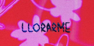 Pipiolas llorarme