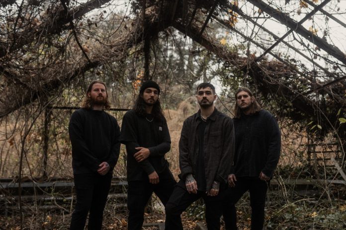 Like Moths To Flames 2024