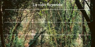 la habitación roja la vida fluyendo