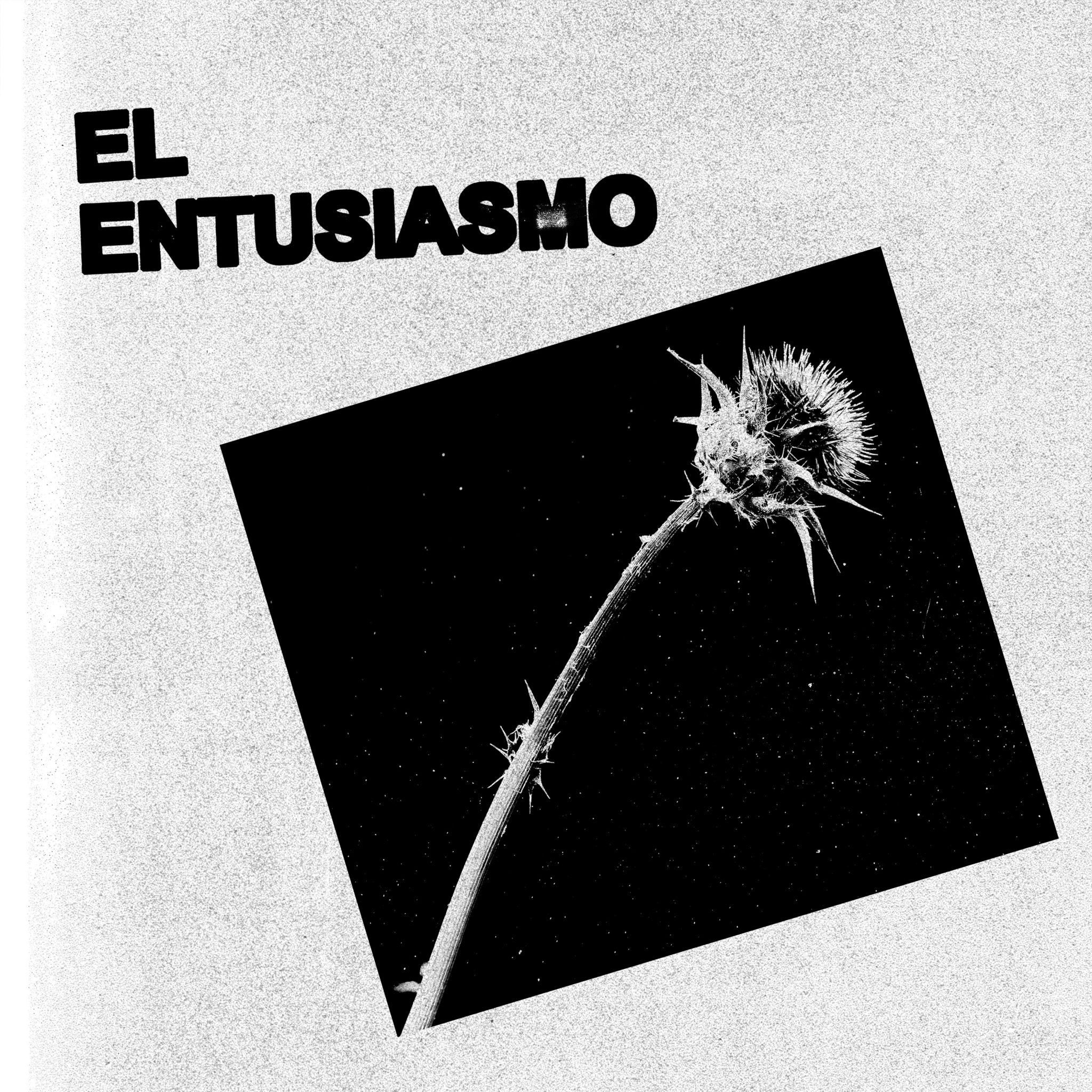 biznaga el estusiasmo