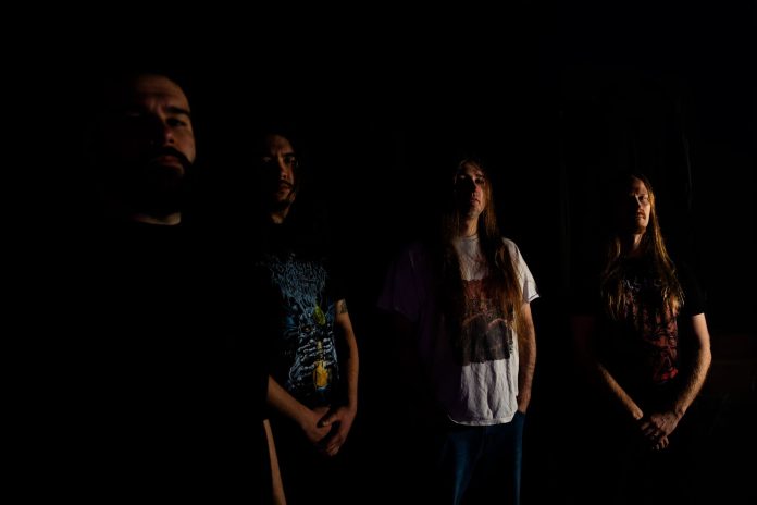 defeated sanity 2024